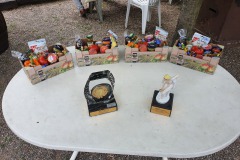 2021-06-12-Vereinsmeisterschaft-006